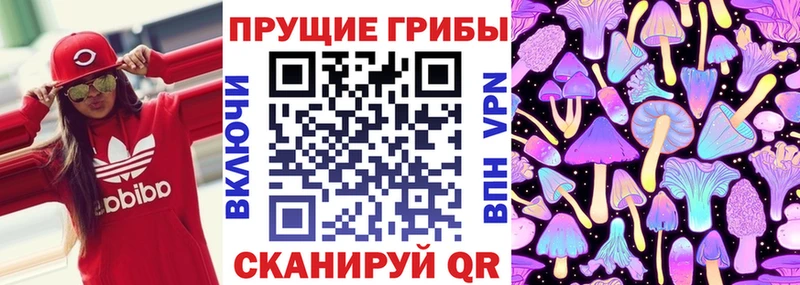 Псилоцибиновые грибы GOLDEN TEACHER  купить  цена  Бабаево 
